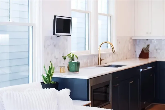 a kitchen with a sink and a potted plant