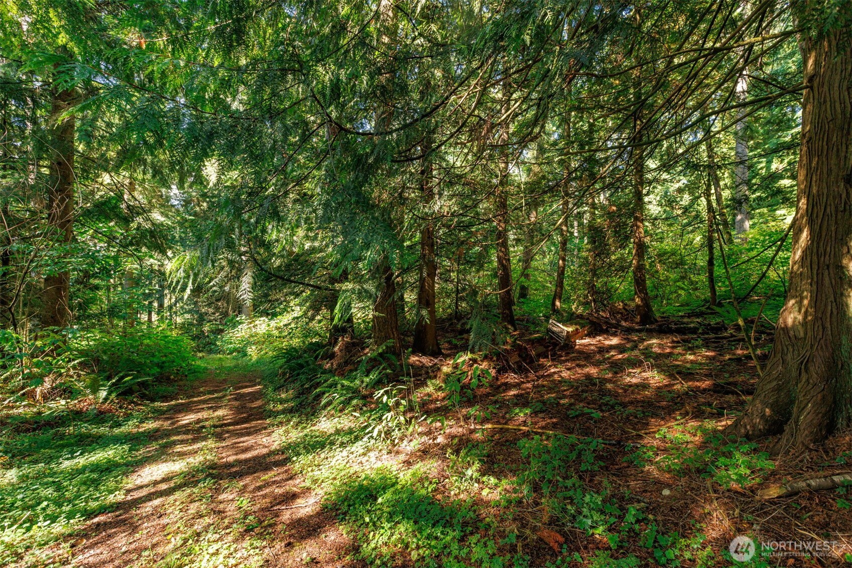 5326 Reese Hill Road Sumas, WA 98295 - Photo 12 of 23 a view of a forest with trees in the background