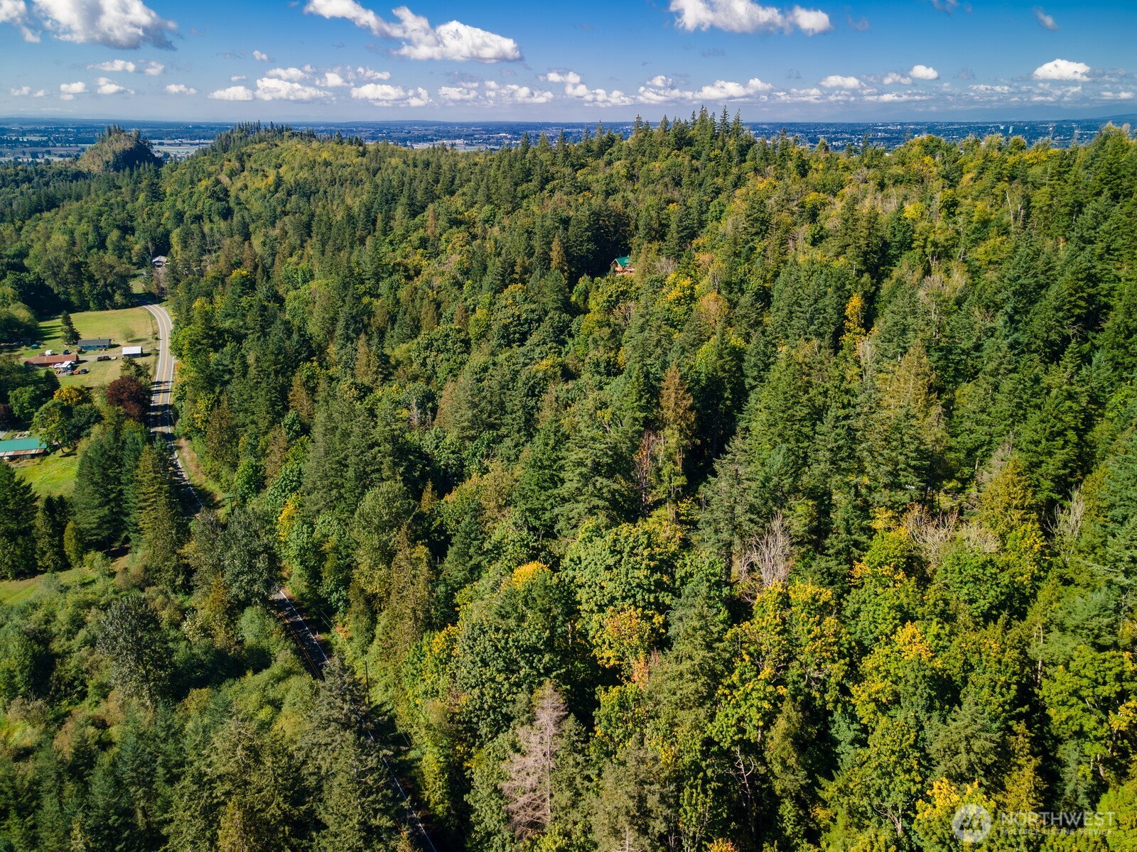 5326 Reese Hill Road Sumas, WA 98295 - Photo 6 of 23 a view of a bunch of plants and a yard