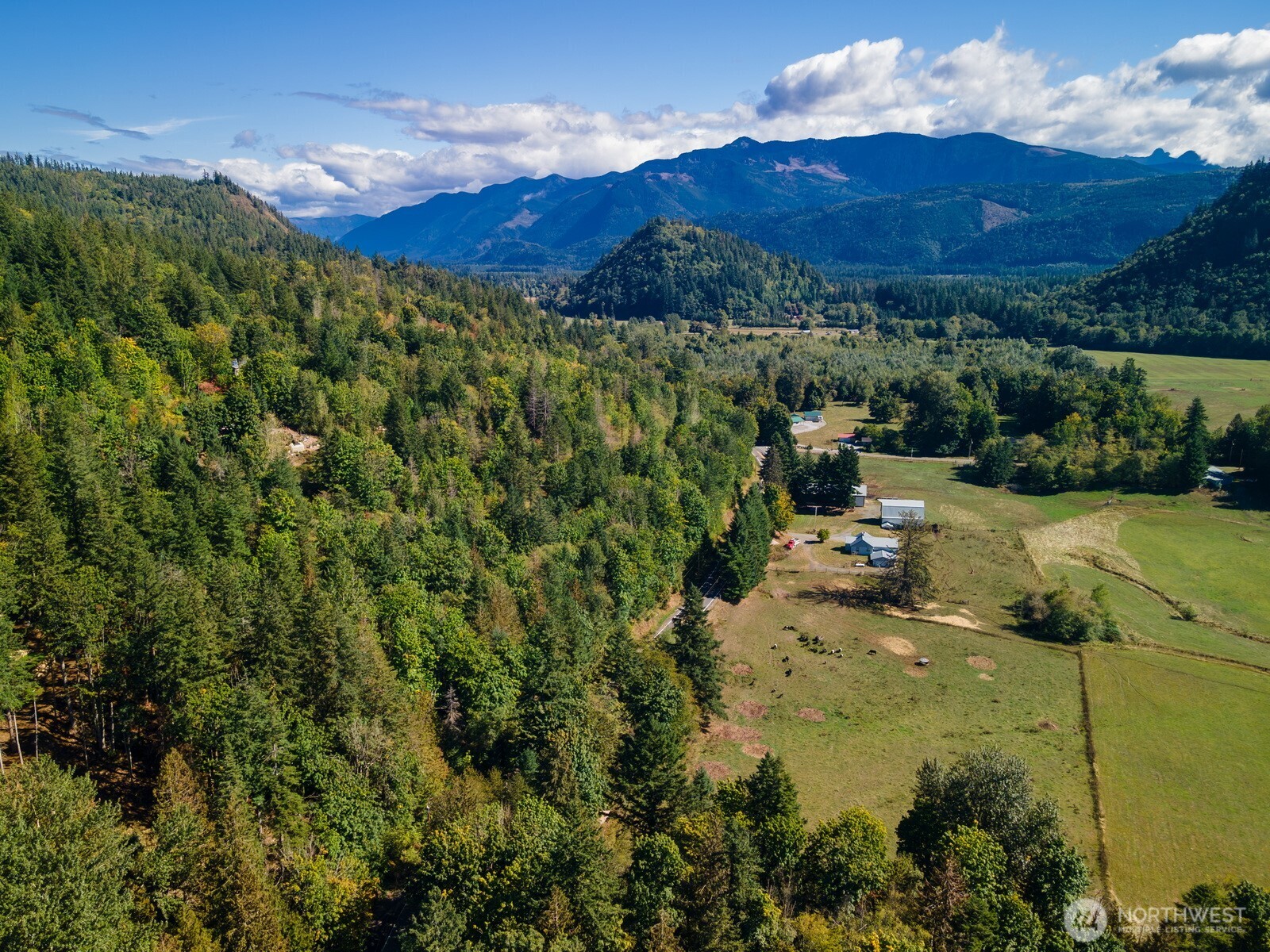 5326 Reese Hill Road Sumas, WA 98295 - Photo 7 of 23 a view of a lush green hillside and a building in the background