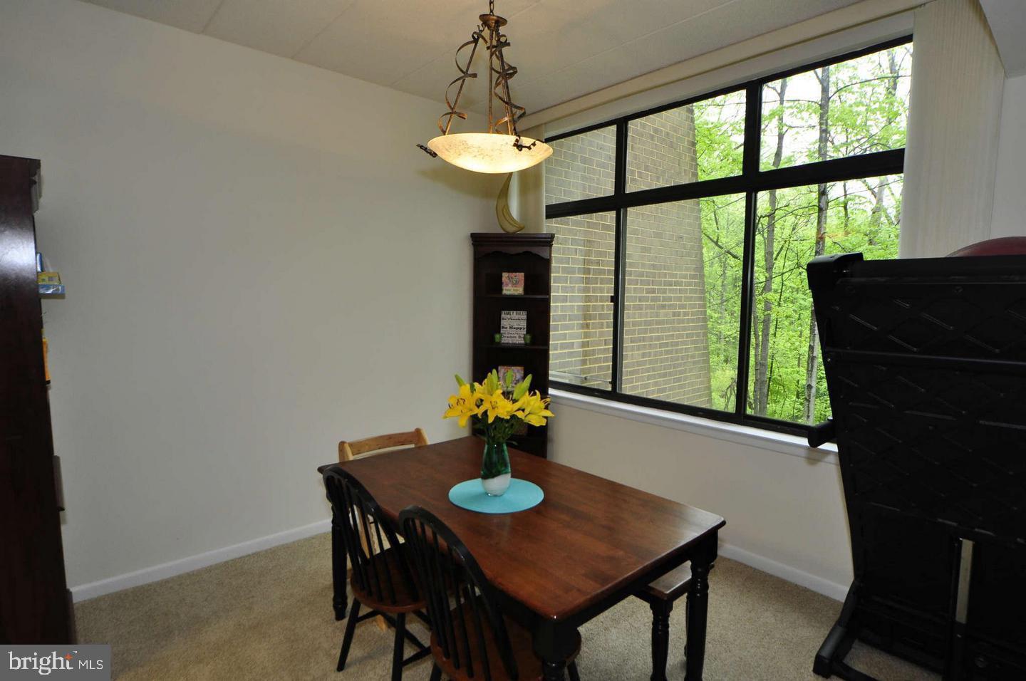 2102 Green Watch Way, Unit 200 Reston, VA 20191 - Photo 5 of 18 Gallery Image 5