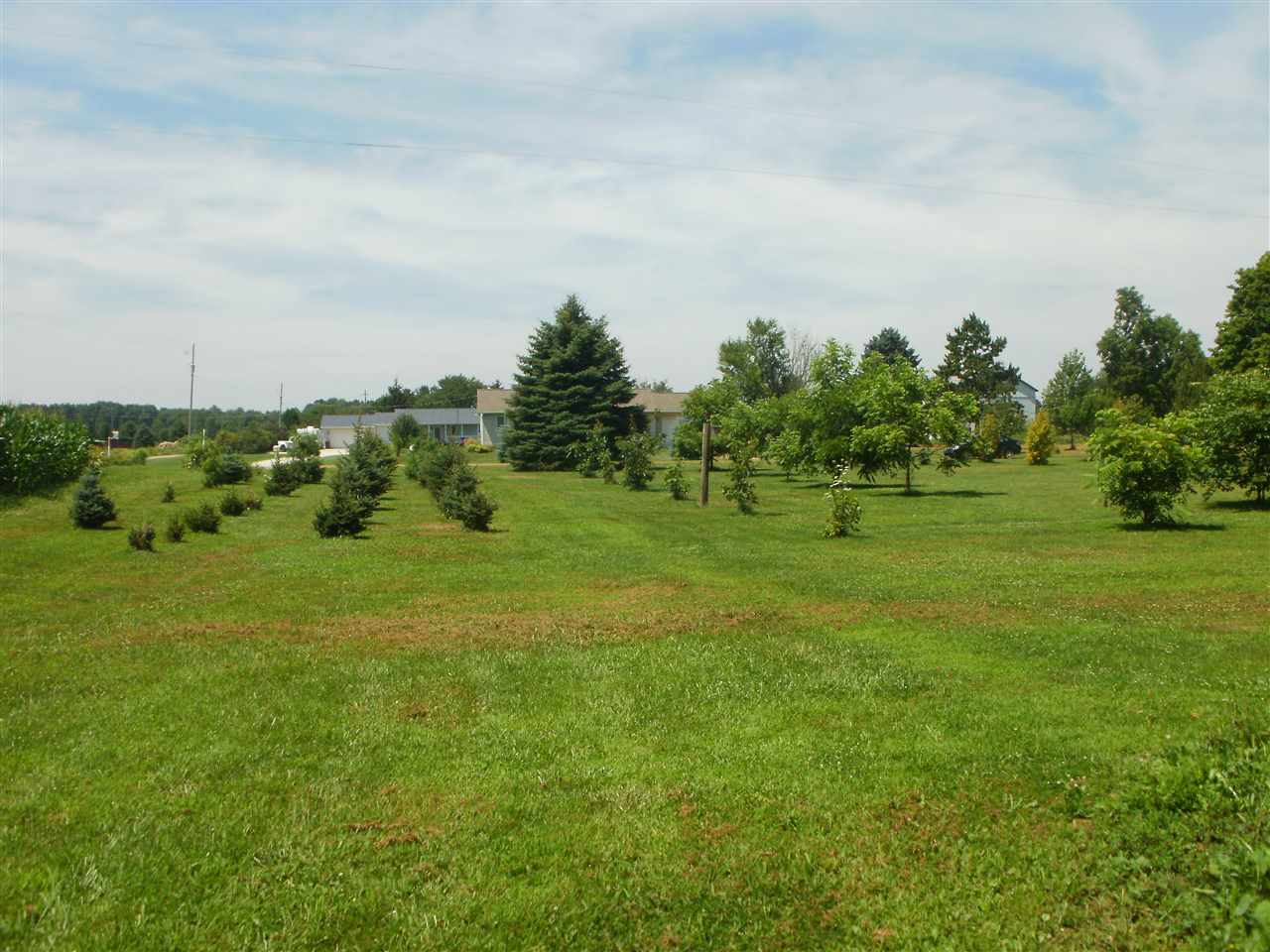 3295 Maurer Road Charlotte, MI 48813 - Photo 15 of 41 1804065-15.JPG