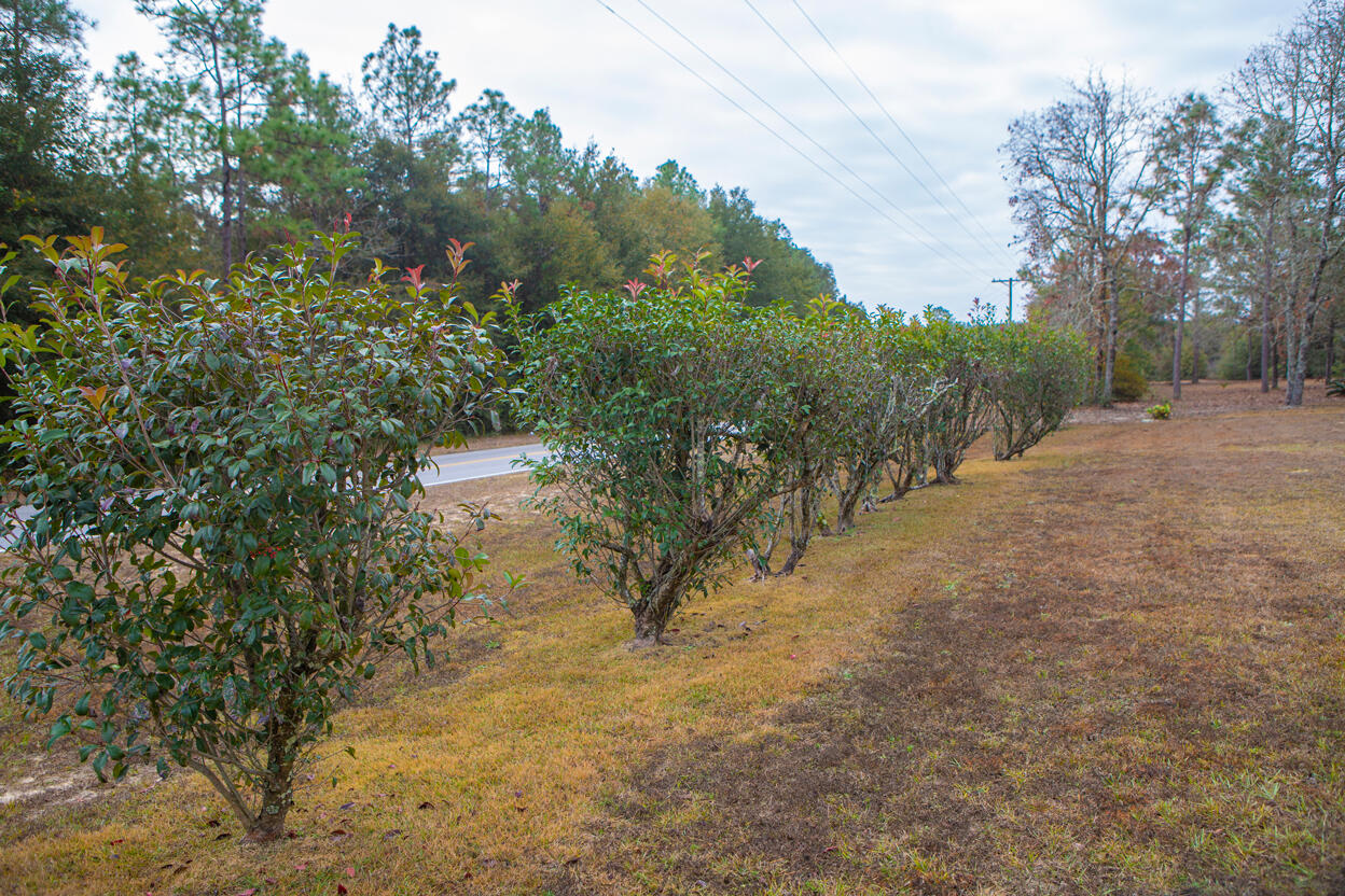 4753 Wilkerson Bluff Road Holt, FL 32564 - Photo 8 of 100 Gallery Image 8