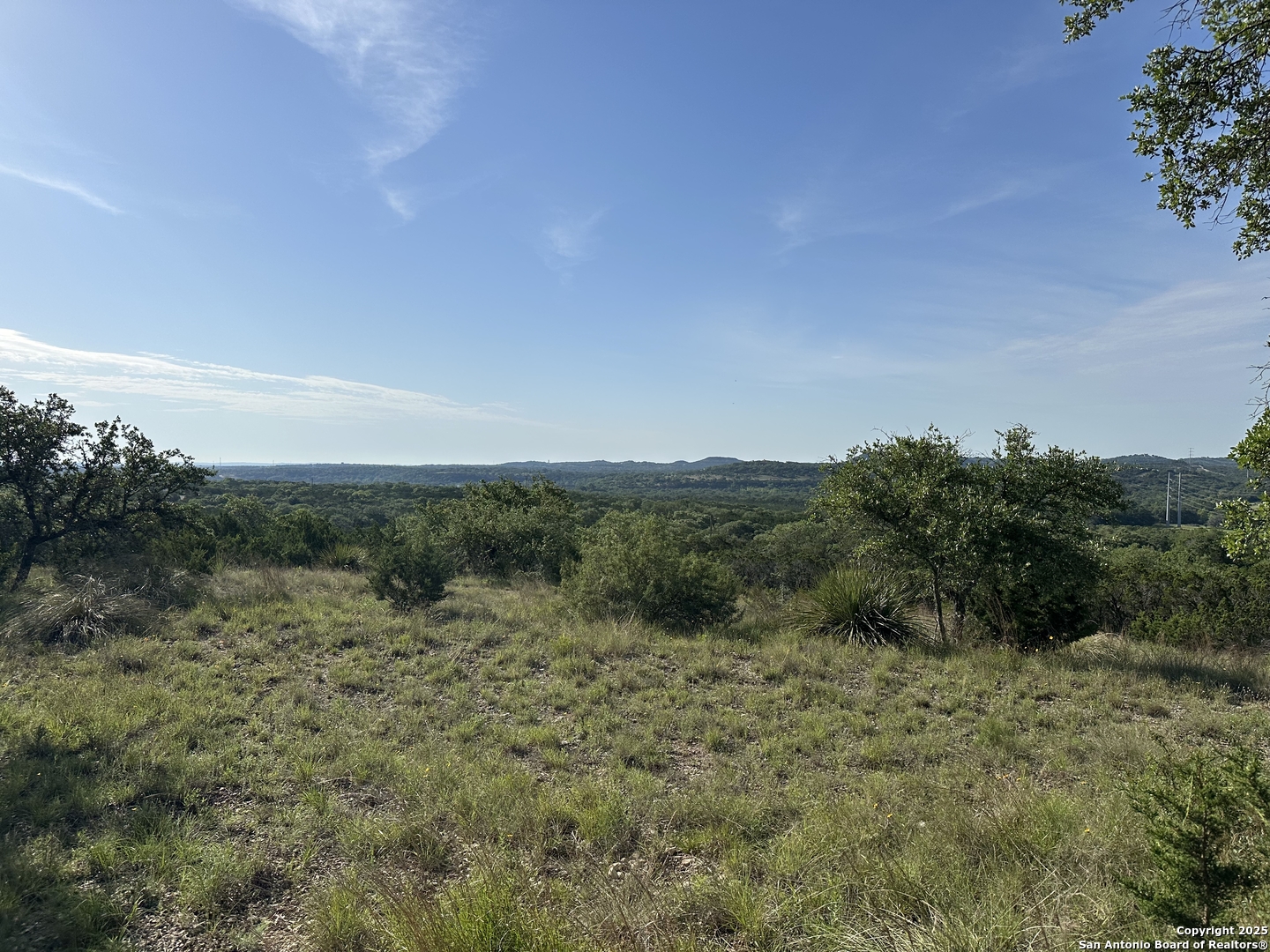 10205 Johns Road, Unit 2 Boerne, TX 78006 - Photo 3 of 11 a view of a field with trees in the background