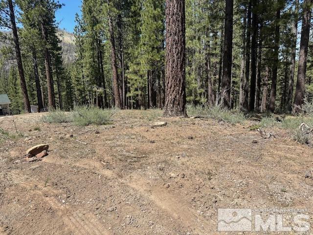 150 Pinon Road Markleeville, CA 96120 - Photo 1 of 36 a view of a yard with trees in the background