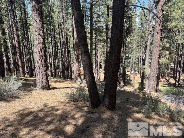 150 Pinon Road Markleeville, CA 96120 - Photo 11 of 36 a view of outdoor space with trees