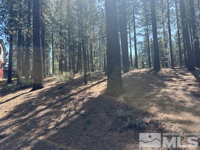 150 Pinon Road Markleeville, CA 96120 - Photo 15 of 36 a view of a yard with large tree