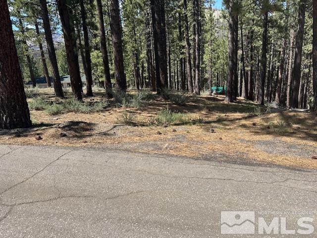 150 Pinon Road Markleeville, CA 96120 - Photo 16 of 36 a view of outdoor space with trees
