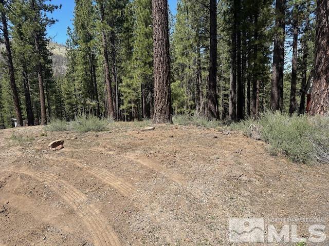 150 Pinon Road Markleeville, CA 96120 - Photo 18 of 36 a view of a dry yard with trees