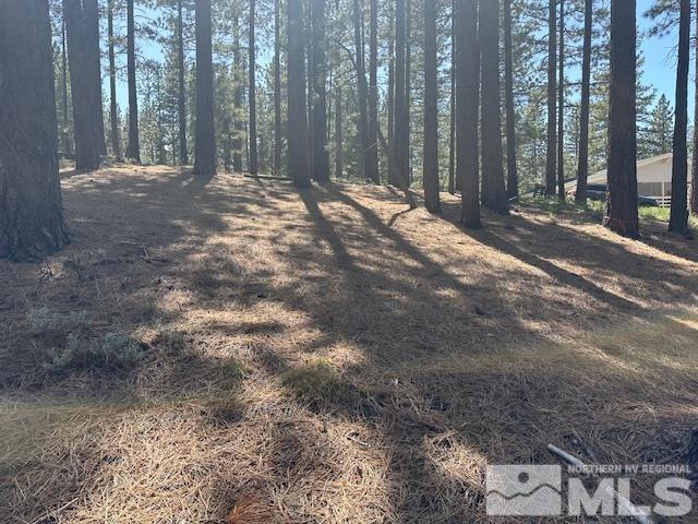 150 Pinon Road Markleeville, CA 96120 - Photo 22 of 36 a view of a yard with large trees