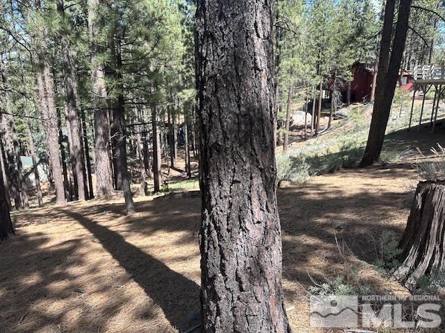 150 Pinon Road Markleeville, CA 96120 - Photo 23 of 36 a view of a backyard with large trees