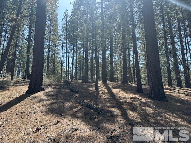 150 Pinon Road Markleeville, CA 96120 - Photo 24 of 36 a view of a yard with plants and trees