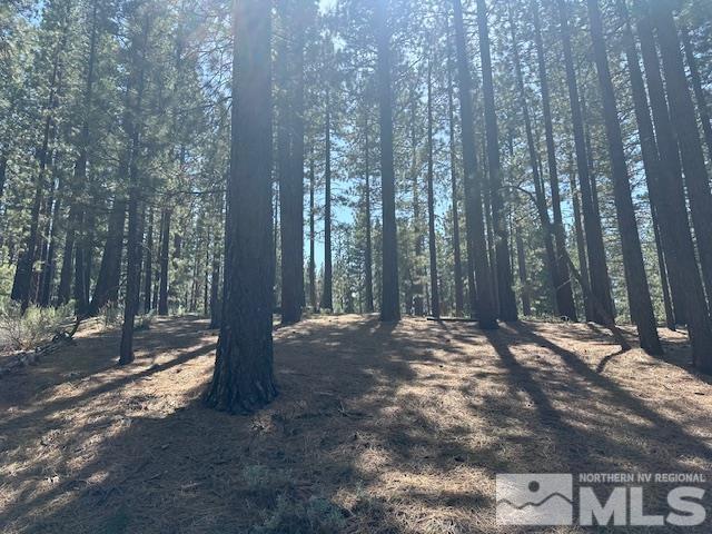 150 Pinon Road Markleeville, CA 96120 - Photo 26 of 36 a view of a yard with large trees