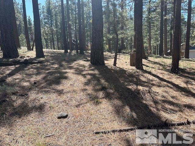 150 Pinon Road Markleeville, CA 96120 - Photo 27 of 36 a view of outdoor space with trees