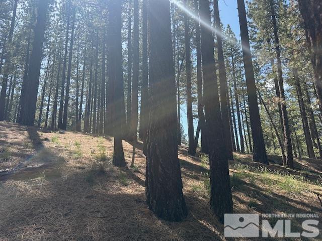 150 Pinon Road Markleeville, CA 96120 - Photo 29 of 36 a view of a pathway of a building