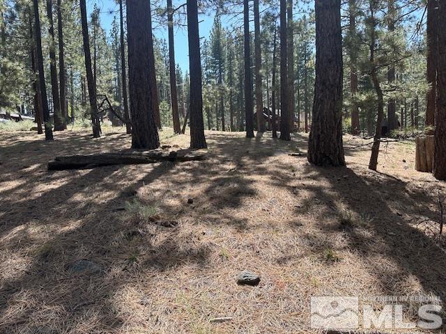 150 Pinon Road Markleeville, CA 96120 - Photo 3 of 36 a view of large trees with plants and trees