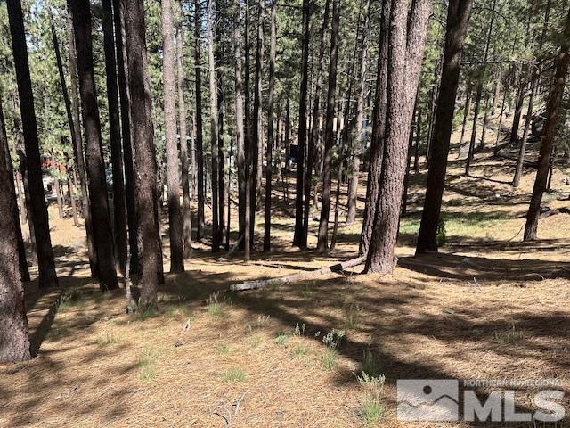 150 Pinon Road Markleeville, CA 96120 - Photo 31 of 36 a view of street with trees