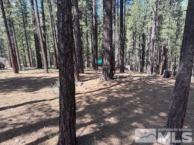 150 Pinon Road Markleeville, CA 96120 - Photo 33 of 36 a view of a backyard with large trees