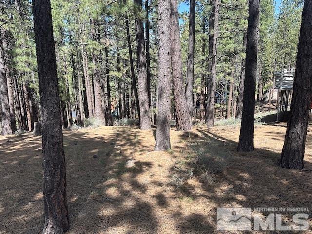 150 Pinon Road Markleeville, CA 96120 - Photo 34 of 36 a view of a yard with trees