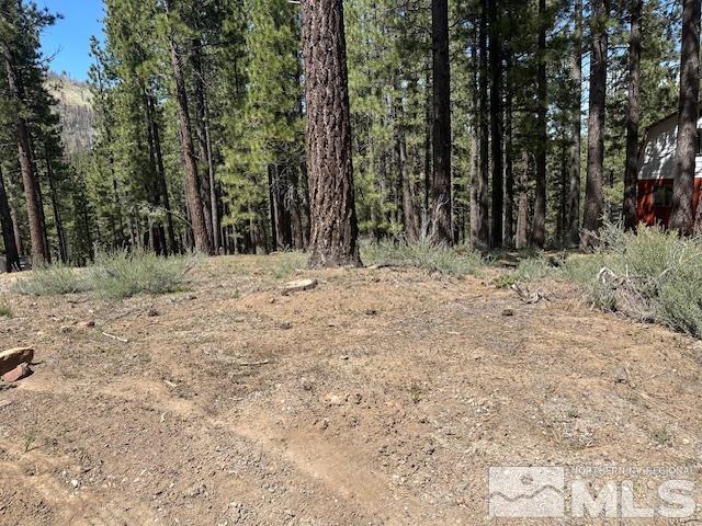 150 Pinon Road Markleeville, CA 96120 - Photo 35 of 36 a view of a backyard of a house