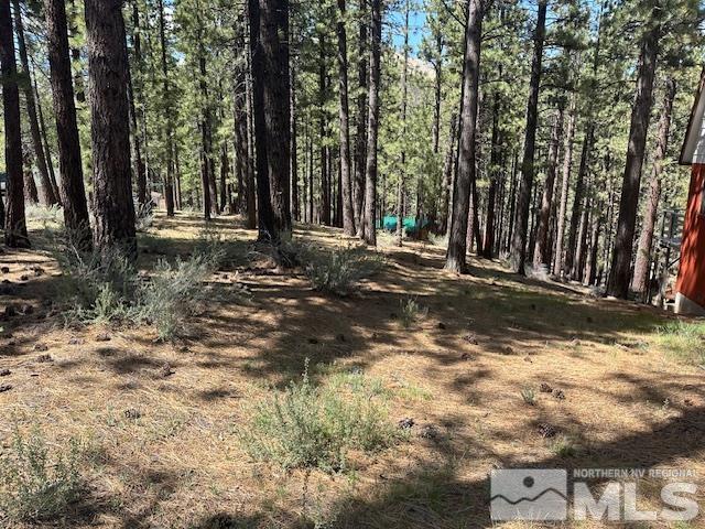 150 Pinon Road Markleeville, CA 96120 - Photo 4 of 36 a backyard of a house with lots of green space
