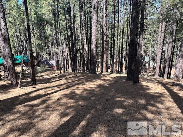 150 Pinon Road Markleeville, CA 96120 - Photo 6 of 36 a view of outdoor space with deck