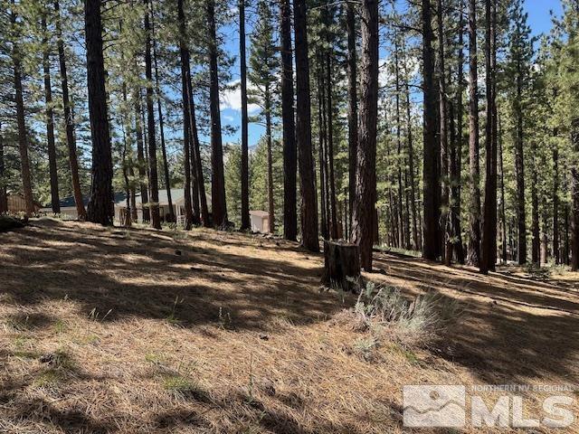 150 Pinon Road Markleeville, CA 96120 - Photo 8 of 36 a view of a house with backyard and trees