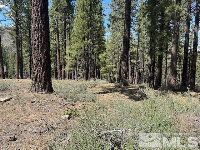150 Pinon Road Markleeville, CA 96120 - Photo 9 of 36 a view of outdoor space with trees