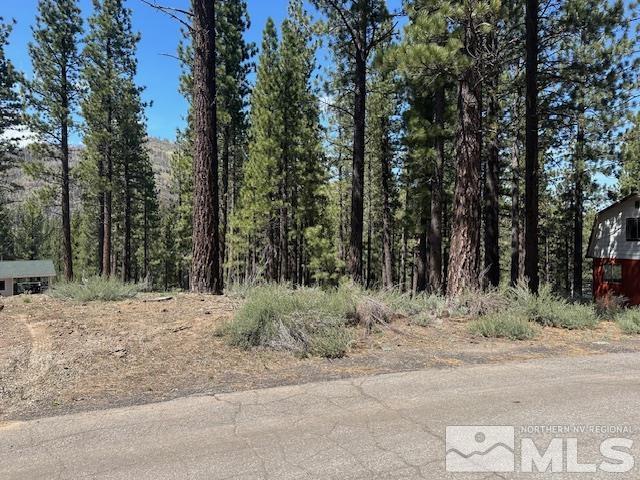 150 Pinon Road Markleeville, CA 96120 - Photo 10 of 36 a view of a yard with trees