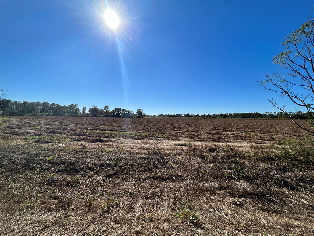 5.107-ac 5.107-ac Road Cottonwood, AL 36320 - Photo 11 of 19