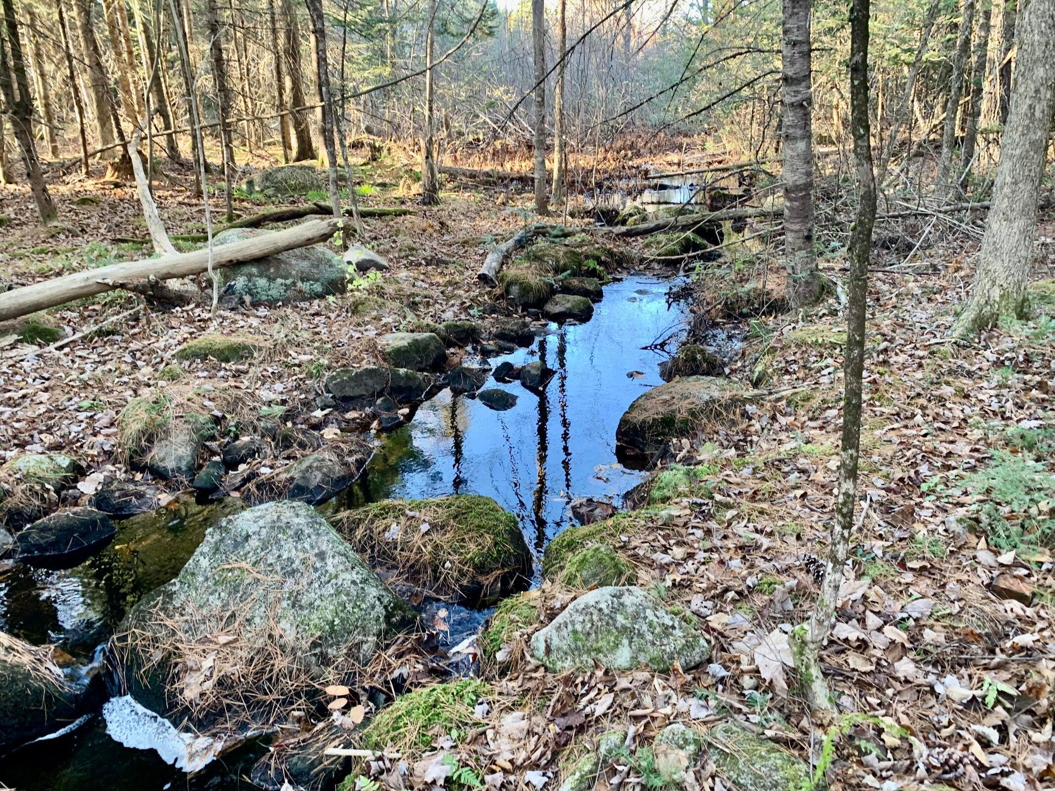 618 Norway Road Harrison, ME 04040 - Photo 19 of 19 Norway Rd Brook