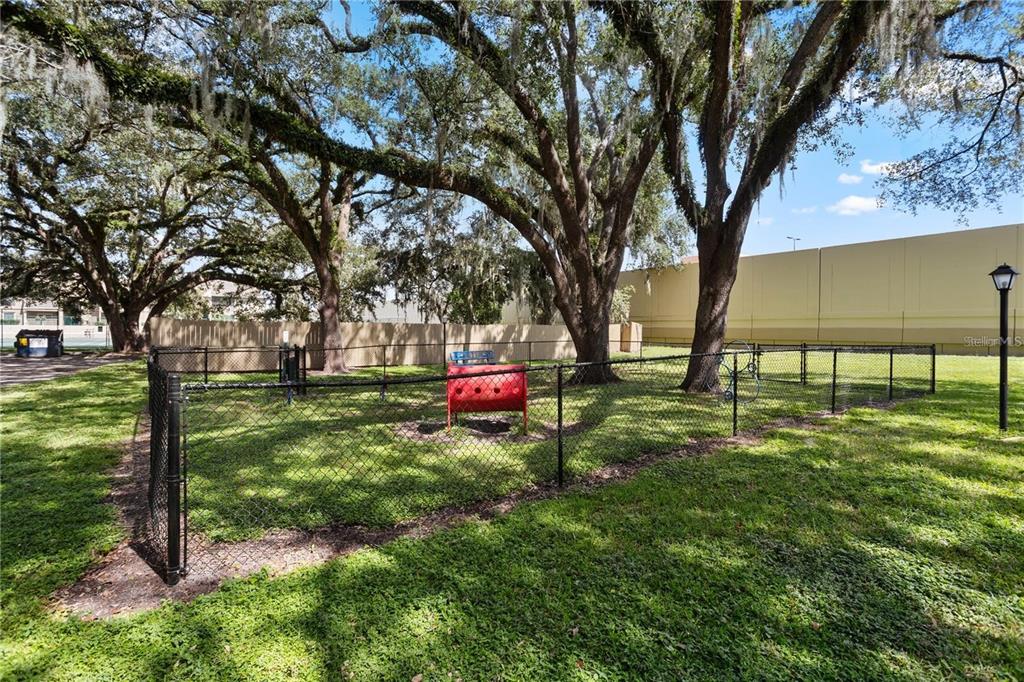 395 Wymore Road, Unit 207 Altamonte Springs, FL 32714 - Photo 27 of 32 a view of a backyard with a tree