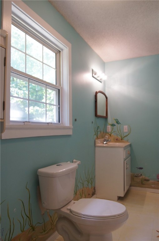 250 Cedar Hollow Road Seneca, SC 29678 - Photo 29 of 32 Gallery Image 29