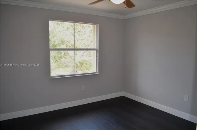 a view of a backyard with palm trees
