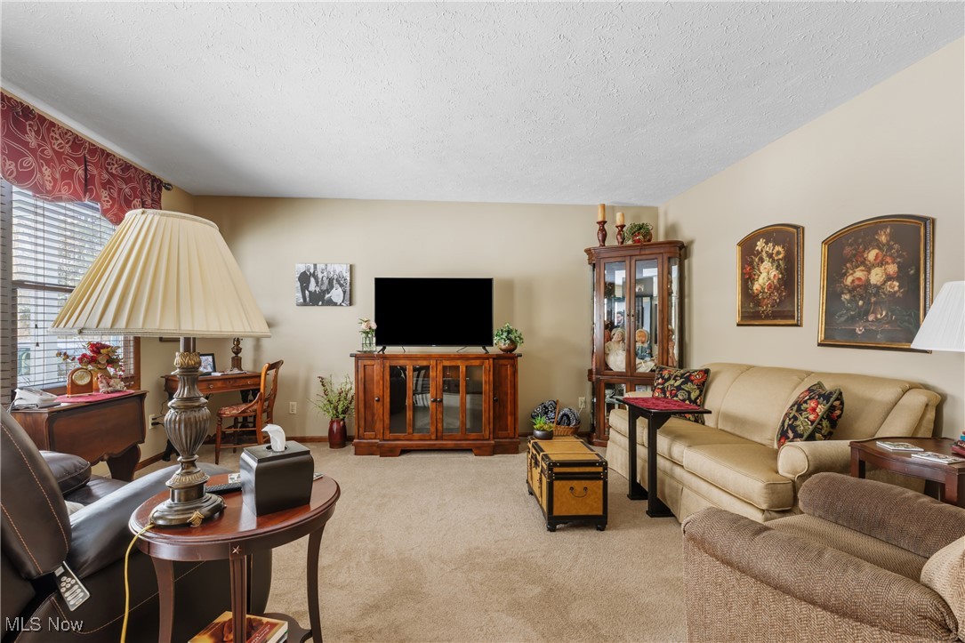 14816 Denman Road Wakeman, OH 44889 - Photo 3 of 41 Living area featuring carpet and a textured ceiling