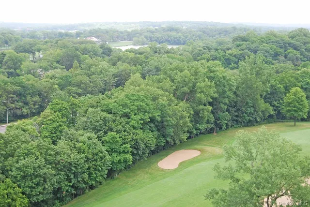 a view of a green yard with large trees