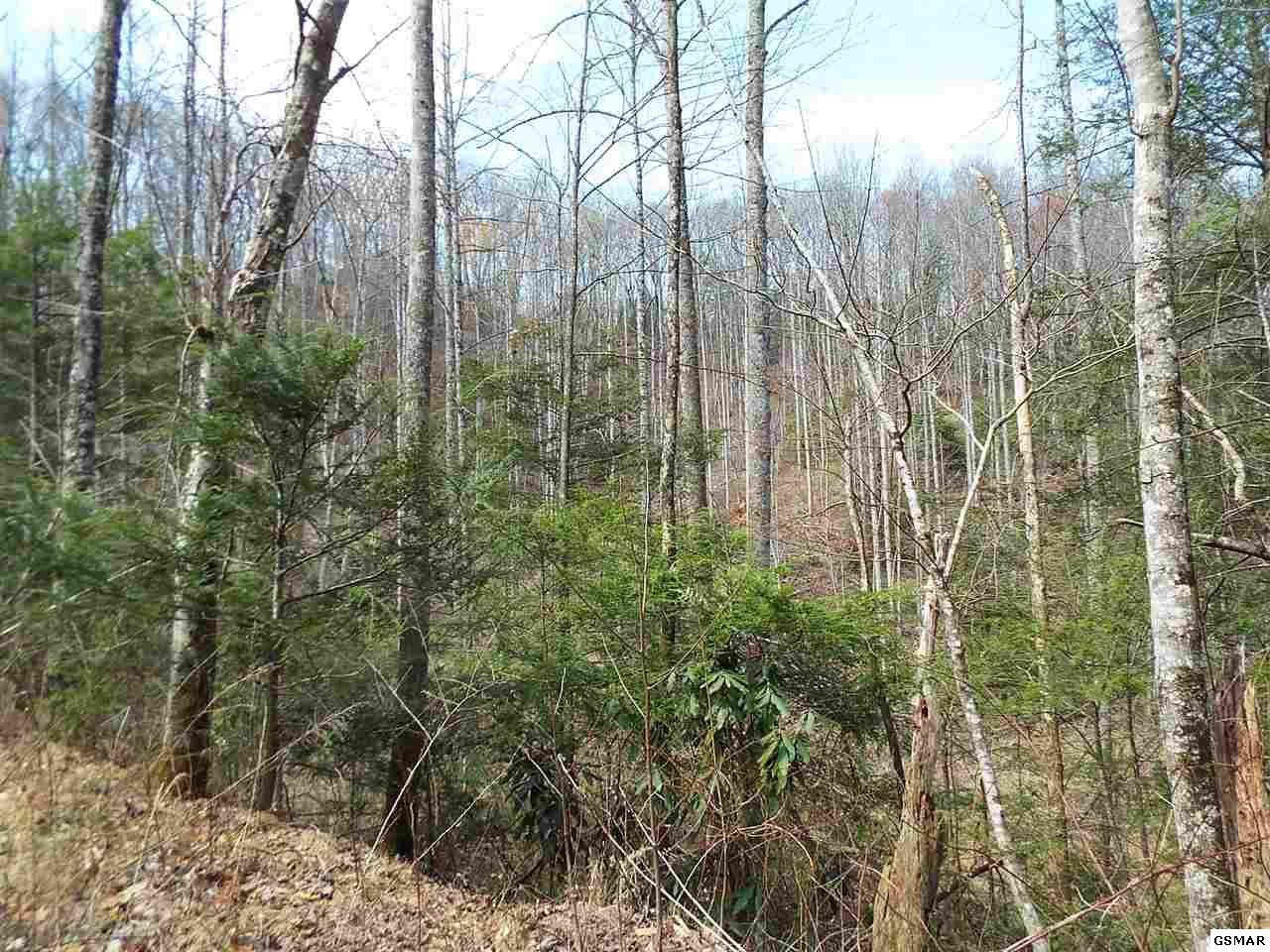 7903 Ground Hog Road Cosby, TN 37722 - Photo 31 of 35 Gallery Image 31
