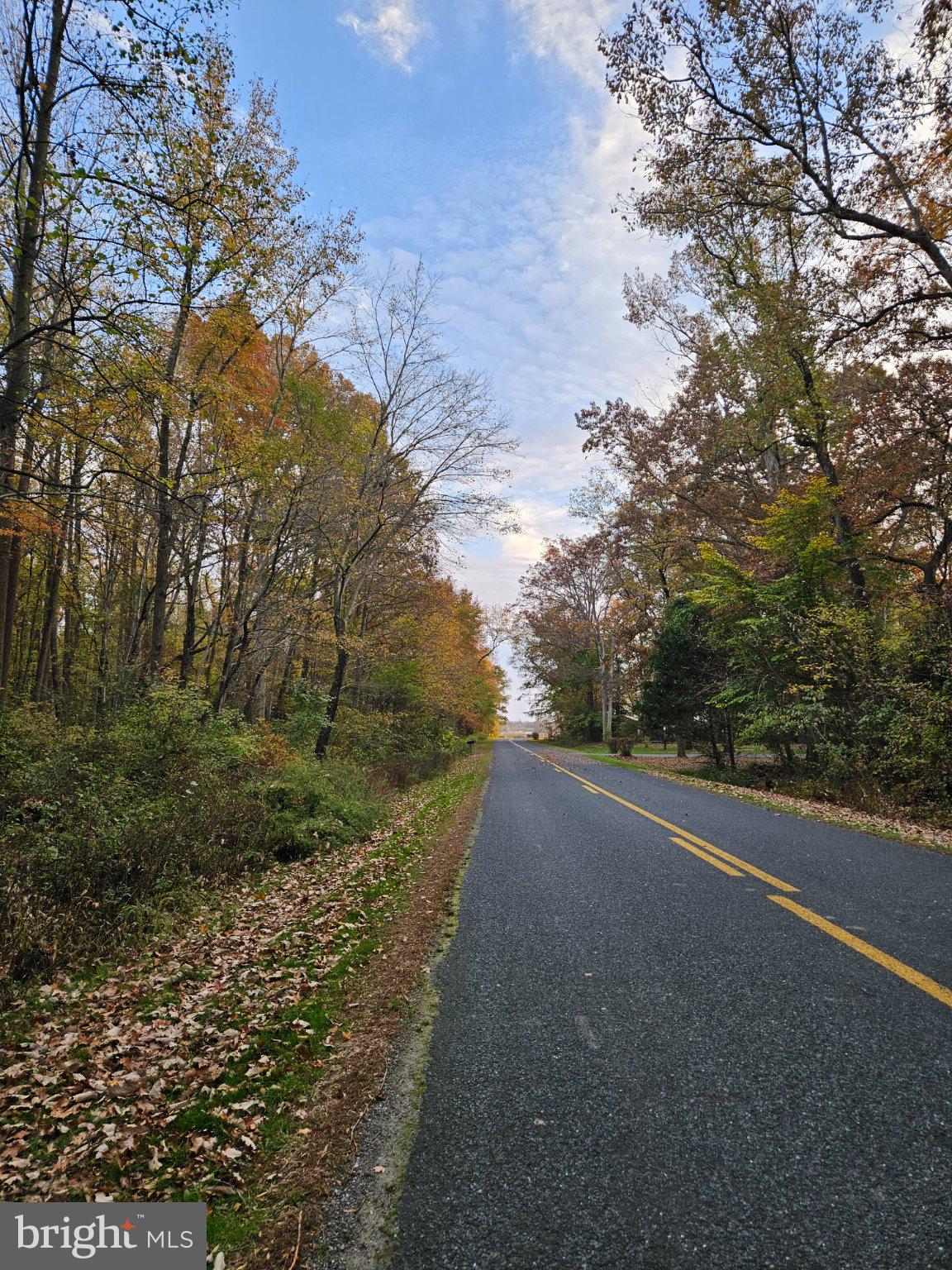 1031 Peters Corner Road Sudlersville, MD 21668 - Photo 2 of 7 Autumn's path through vibrant woods.