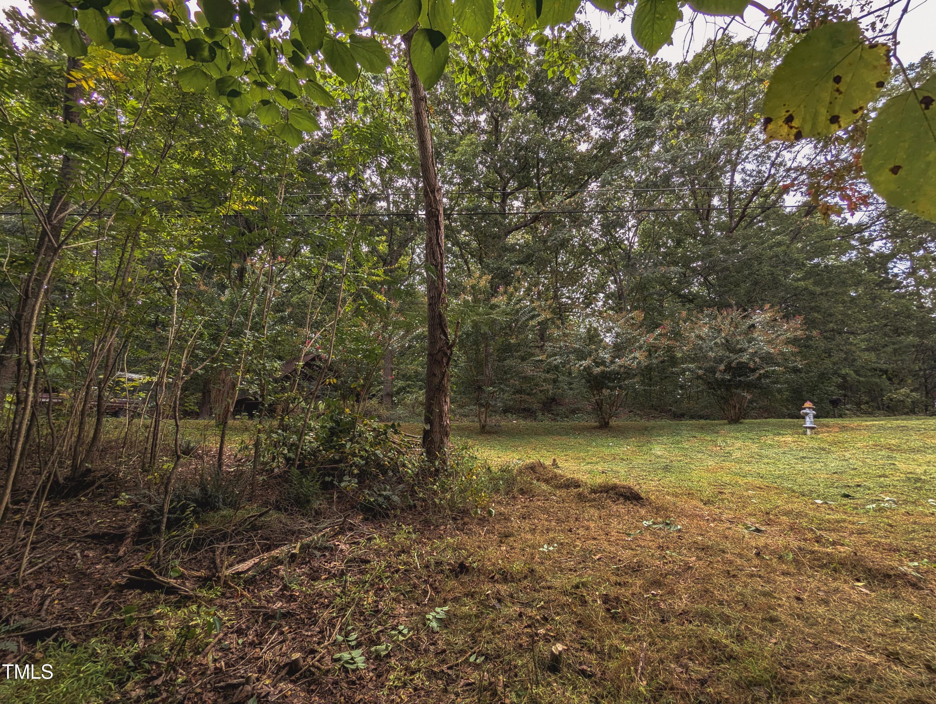 Tbd Tbd Edgar Roxboro, NC 27573 - Photo 2 of 9 WhatsApp Image 2024-09-29 at 10.18.25 AM
