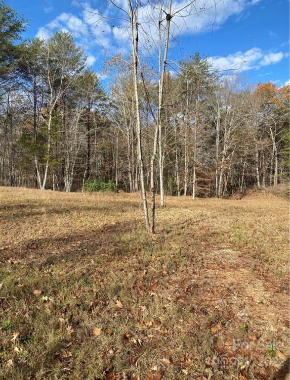 254 Hickory Hollow Road Blacksburg, SC 29702 - Photo 3 of 6 Gallery Image 3