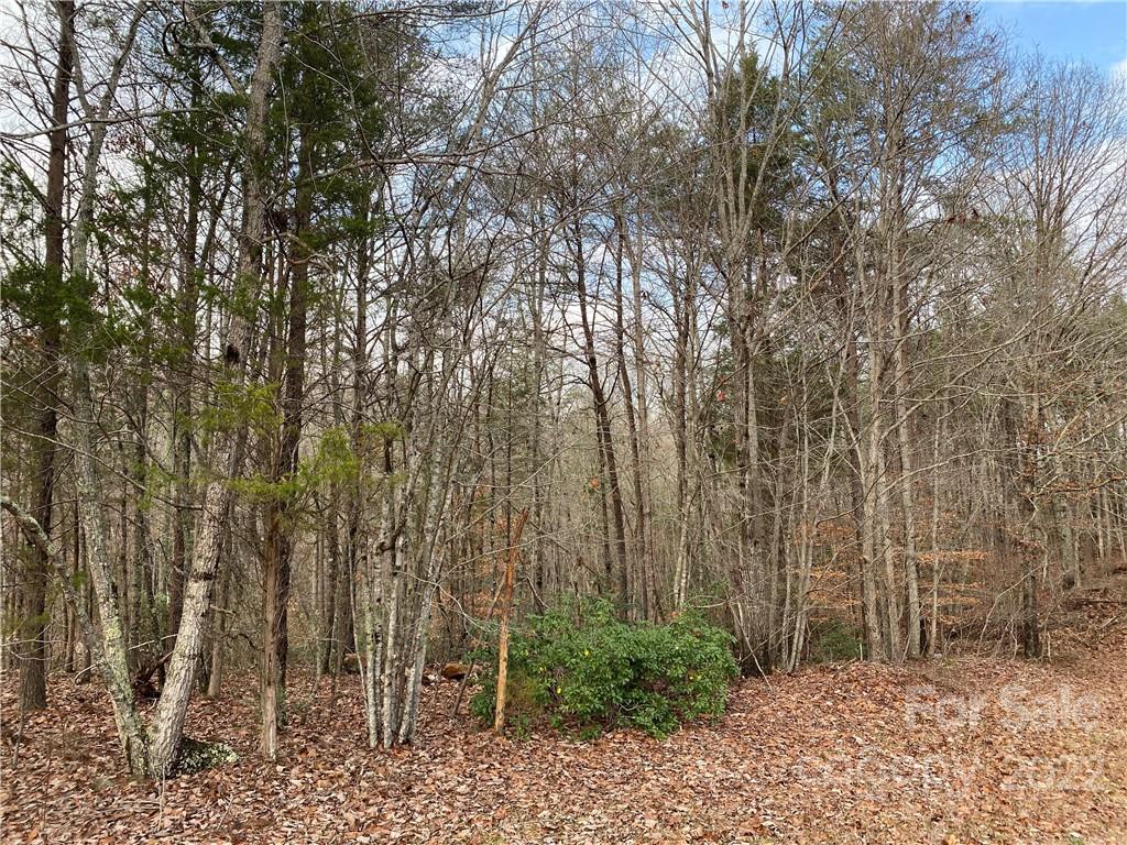 254 Hickory Hollow Road Blacksburg, SC 29702 - Photo 5 of 6 Gallery Image 5