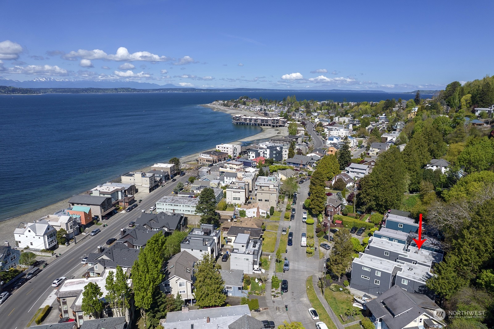 4118 58th Place Southwest, Unit 2 Seattle, WA 98116 - Photo 21 of 23 a view of a city with lots of green space