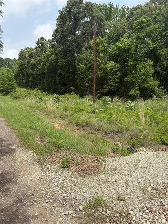 a view of backyard with green space