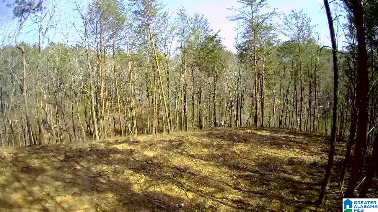 Solitude Drive, Unit 17 Clanton, AL 35046 - Photo 4 of 4