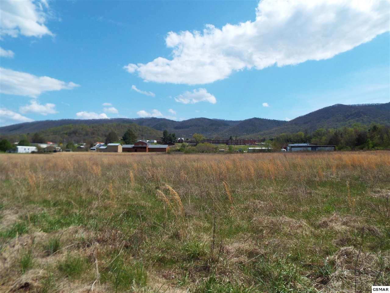 8 Padgett Mill Road Cosby, TN 37722 - Photo 6 of 14 Gallery Image 6