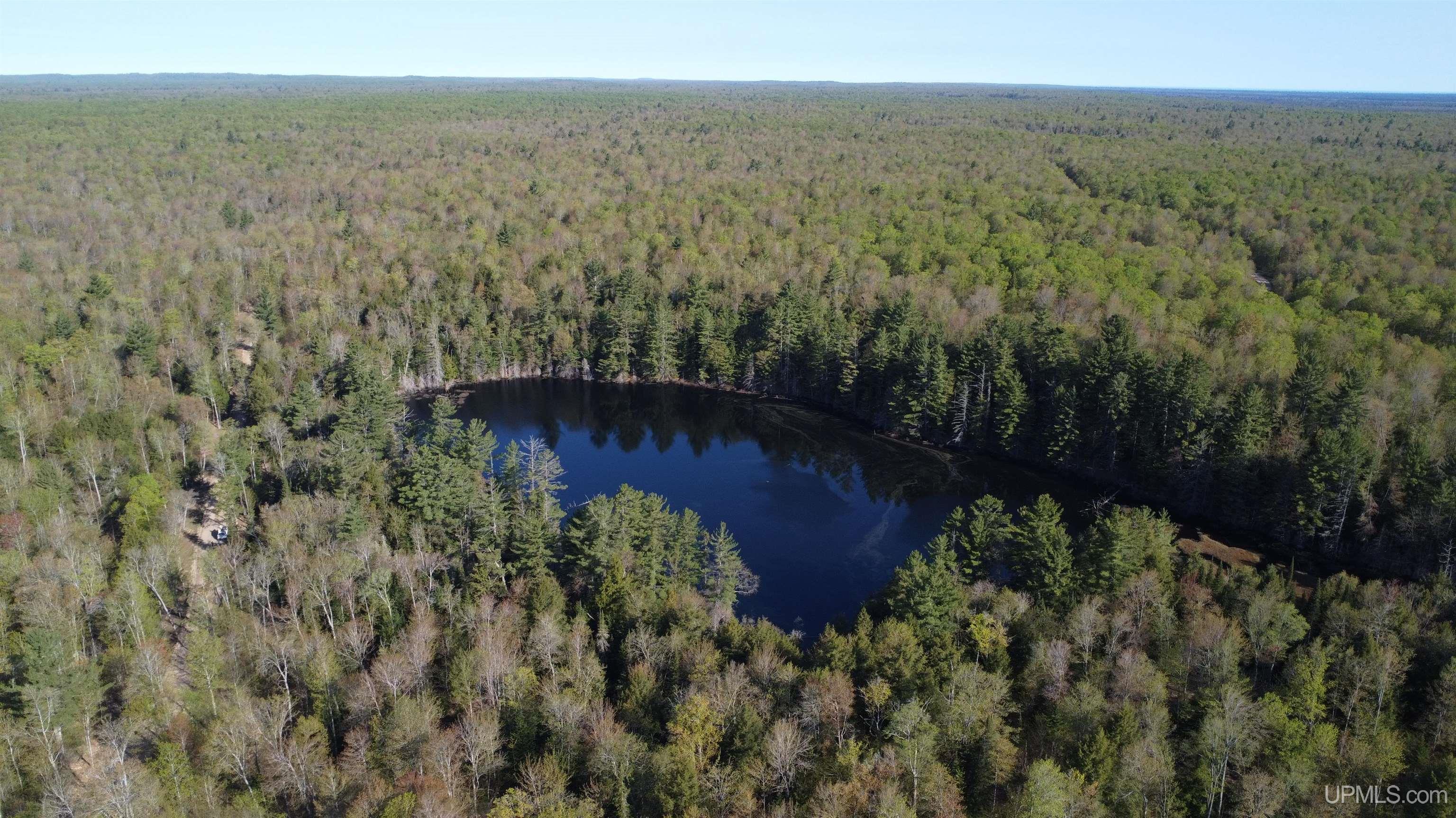 On Wolf Lake Road McMillan, MI 49853 - Photo 19 of 37