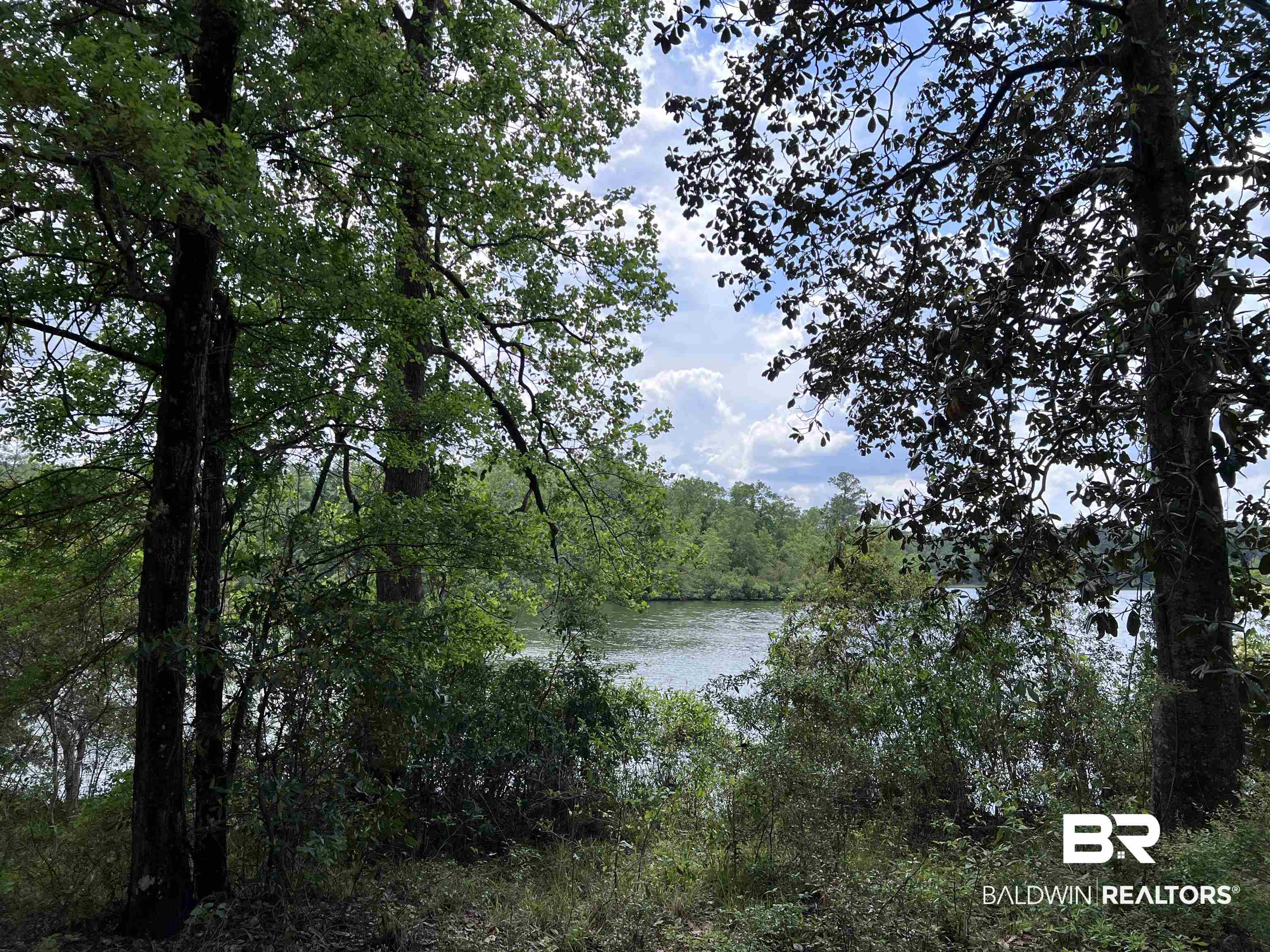 5100 Wiggins Lake Road Walnut Hill, FL 32568 - Photo 8 of 41