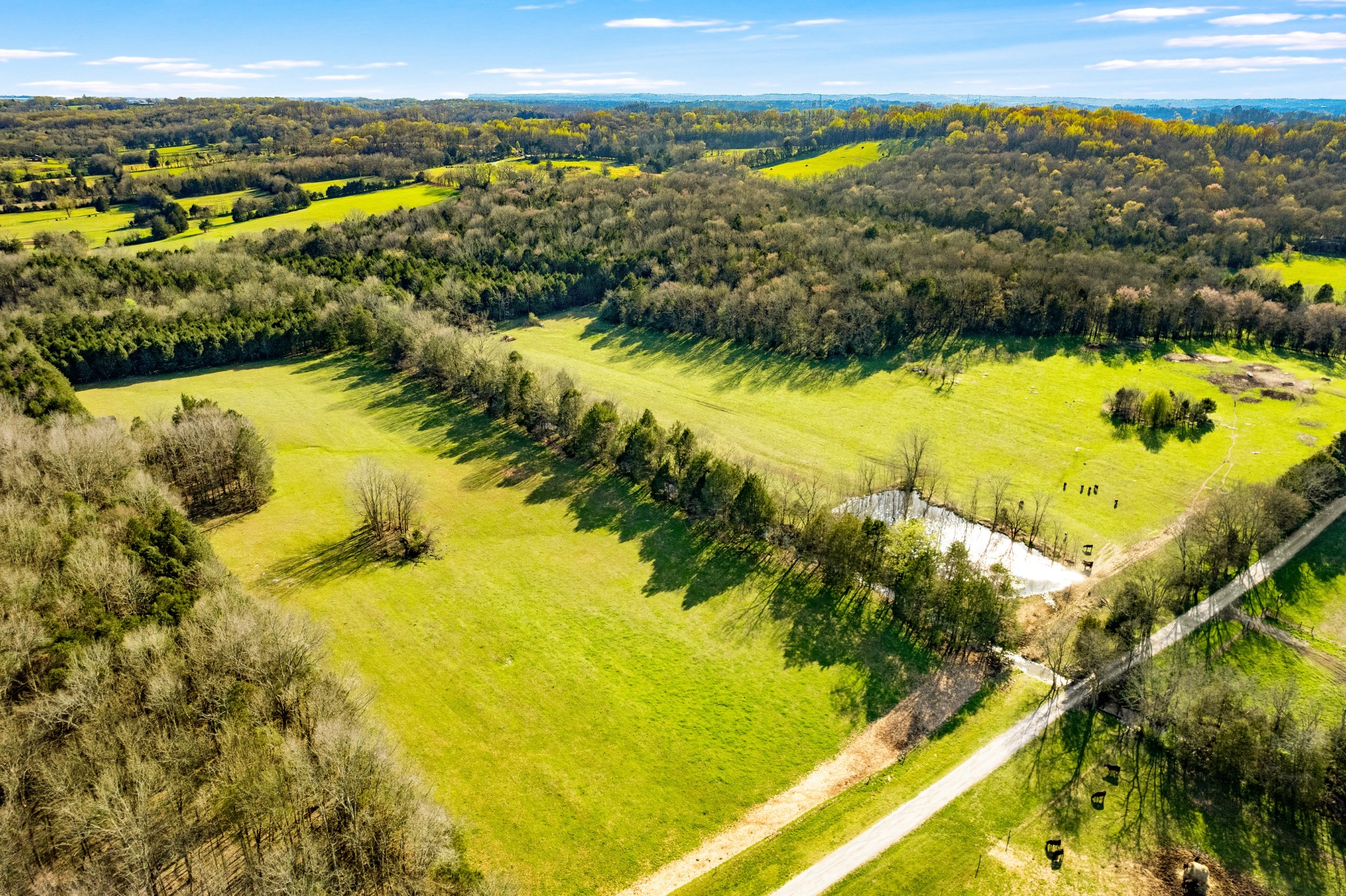 2 Cooks Road Mount Juliet, TN 37122 - Photo 5 of 15