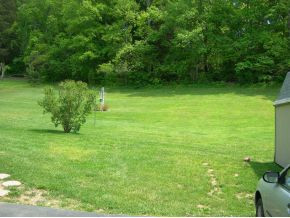 3048 Ridgemont Circle Kingsport, TN 37663 - Photo 15 of 15 Back Yard