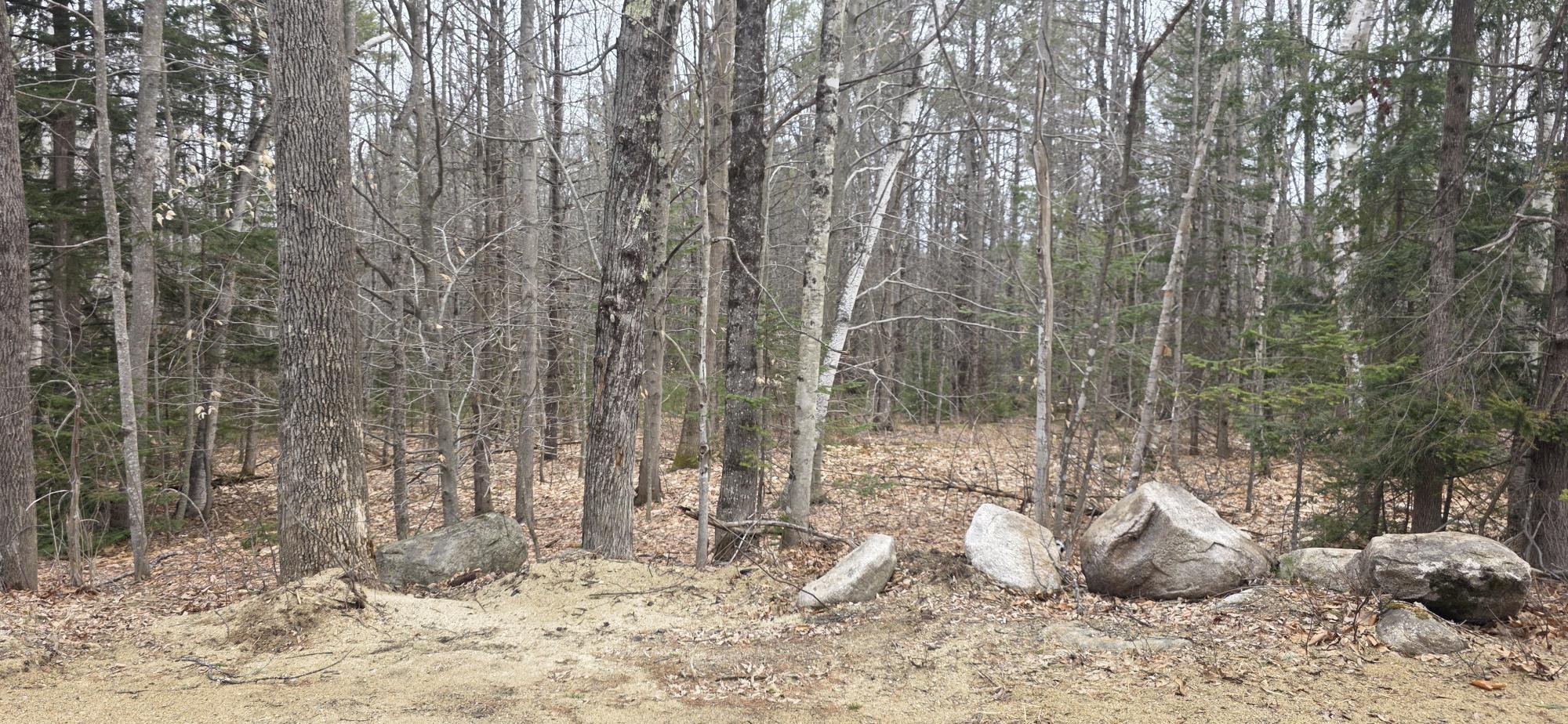 6-1 Maple Ridge Road Harrison, ME 04040 - Photo 2 of 3 1000012549